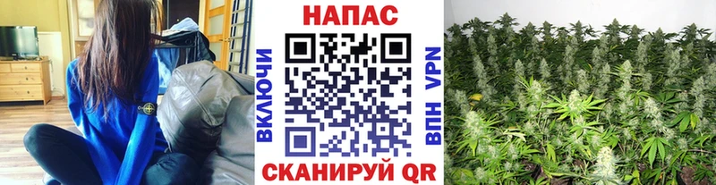 Купить где  Сухой Лог  Бошки Шишки план 